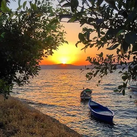 Odek's Seaview Гюллюк
