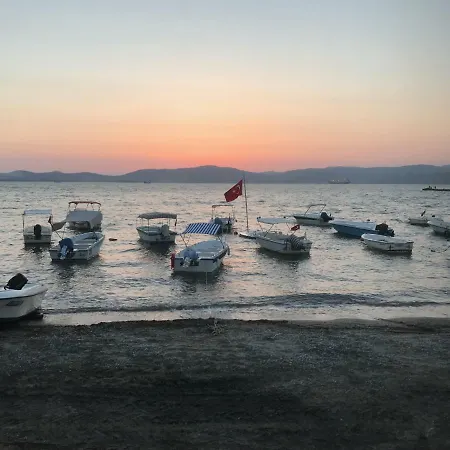Odek's Seaview *
