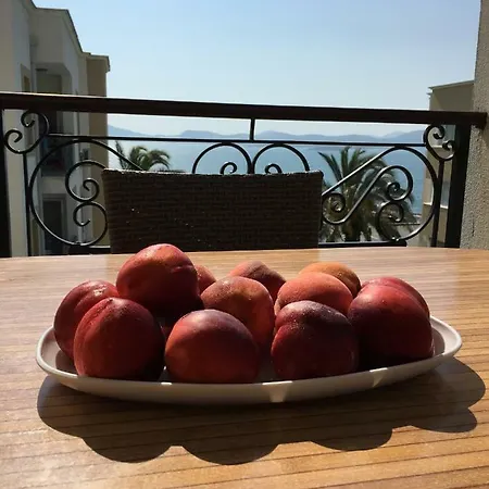 Апартаменты Odek's Seaview